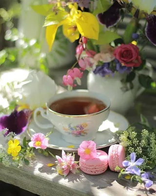 Связанный чай-цветок \"Нефритовый персик Дракона\" — магазин чая \"Ваш Чай\"