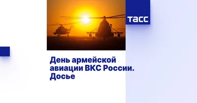 День армейской авиации : Министерство обороны Российской Федерации