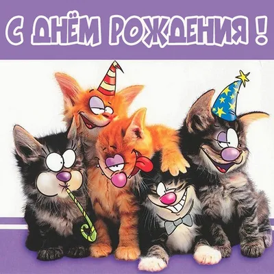 Открытка с днем рождения милый котик - 71 фото