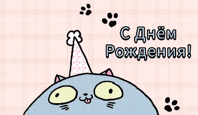 Поздравительная открытка с котом - 69 фото