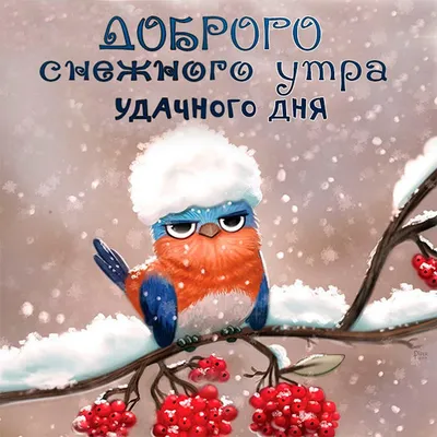 Создать мем \"с добрым морозным утром открытки, хорошего зимнего утра,  доброго зимнего утречка\" - Картинки - Meme-arsenal.com