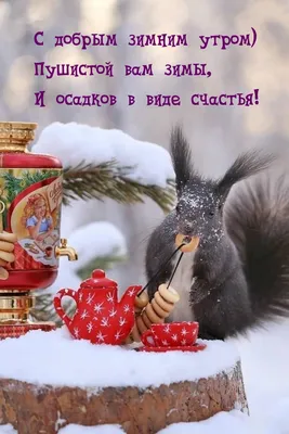 Доброе снежное утро, друзья! Хорошего вам дня и отличного настроения! |  Инцидент Барнаул | ВКонтакте