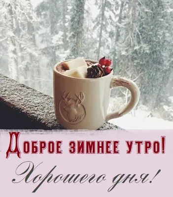 ❄️❄️❄️С добрым снежным утром ❄️❄️❄️ Это доброе утро сегодня обещает нам  хороший день! Пусть будет только так,.. | ВКонтакте