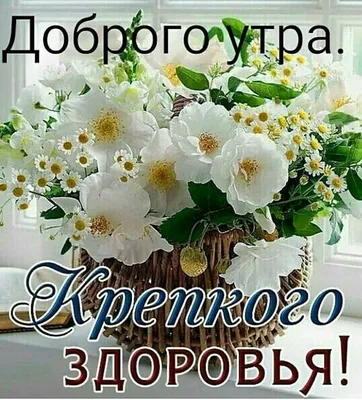 Купить \"Доброе утро\" Цветы с днем рождения в Москве по 7250 ₽ арт – 14341