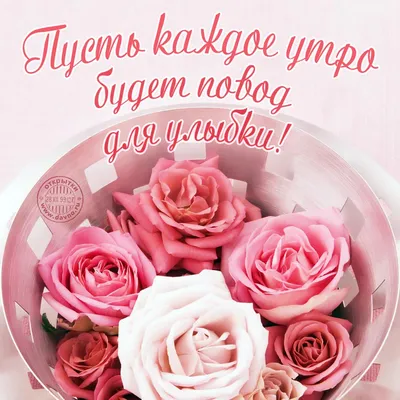 красивые открытки с цветами доброго утра｜Поиск в TikTok
