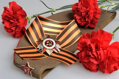 Как носить георгиевскую ленточку: на Ямале входят в моду черно-оранжевые  броши к 9 мая - KP.RU