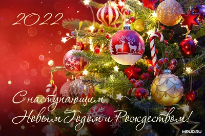Поздравления с Новым Годом! — Первичная профсоюзная организация МРНЦ им.  А.Ф. Цыба