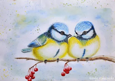 Картинки с птицами зимой обои