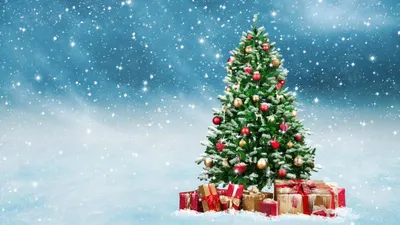 Рождество плакат, рождественский мяч, рождественский ветви, цвет рабочего  стола ретро фон картинки и Фото для бесплатной загрузки
