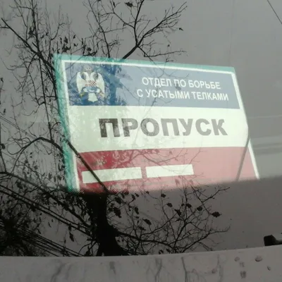 Парень из Владивостока прославился «вызывающей» надписью на своем авто