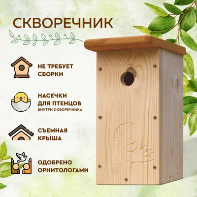 Акция на лучший скворечник в Саратове: Птичий дом нельзя делать из фанеры,  а поверхность досок должна быть шершавой - KP.RU