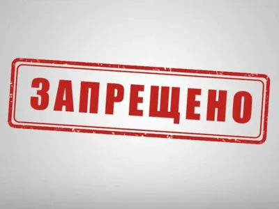 Слава Каминская сделала признание Олегу Виннику после Танцев со звездами  2020 | РБК-Україна