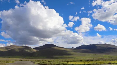 Степи в Казахстане стоковое изображение. изображение насчитывающей лужок -  178026637