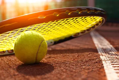 Правила игры в большой теннис для начинающих – правила подачи и определения  победителей | Новости GoProtect.ru