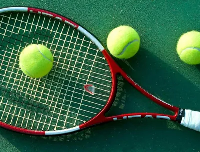 Большой теннис для взрослых - TENNIS'77