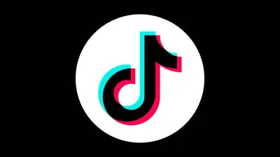 TikTok Is Banned in Some Countries and States. Here's Where.