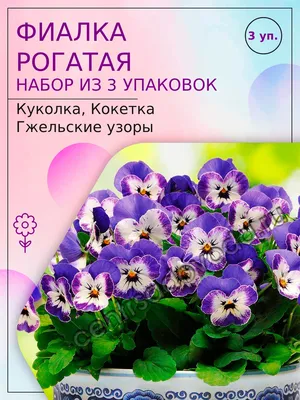 Фиалка-2\" подставка для цветов на 20 чаш (ID#545576268), цена: 1882 ₴,  купить на Prom.ua