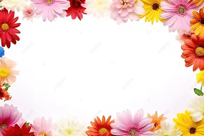 Рисунки красивых цветов на белом фоне (49 фото) » рисунки для срисовки на  Газ-квас.ком
