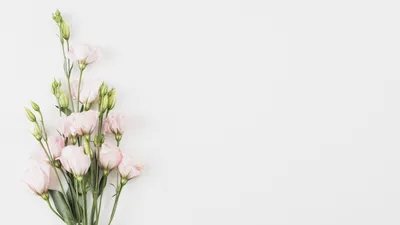 Букет цветов Zinnia на белом фоне цветных Стоковое Фото - изображение  насчитывающей изолировано, промахов: 170755938