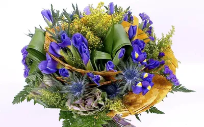 Заказать букет цветов для мужчины FL-1221 купить - хорошая цена на букет  цветов для мужчины с доставкой - FLORAN.com.ua