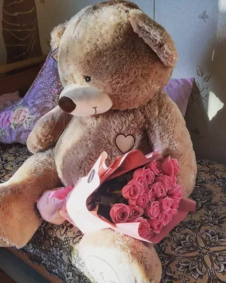 Мишка,с розами | Flores y peluches, Regalos bonitos, Osos de peluche
