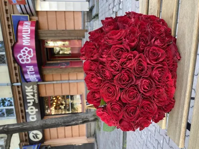 Композиция Подарочный набор \"Нежный букет, мишка и шарики\"» с розами и  танацетумом - купить в Сургуте за 5 500 руб