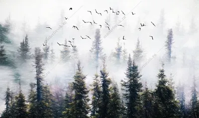 Фотообои Туманный лес купить в Москве, Арт. 15-861 в интернет-магазине,  цены в Мастерфресок