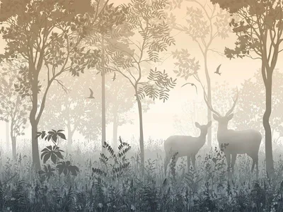 Купить фотообои Природа «Туманный лес» | PINEGIN