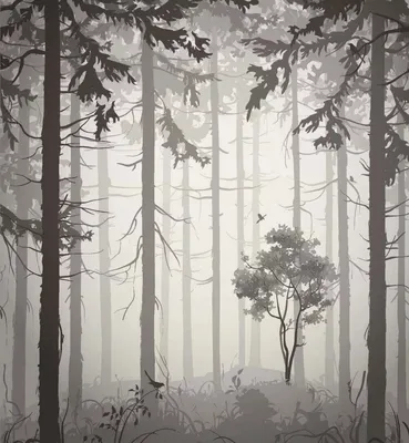 Фотообои Туманный лес на стену, купить фотообои туманный лес в  интернет-магазине WallArt®