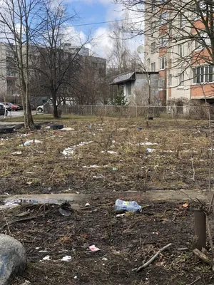 Весна в России. коллаж из 2 …» — создано в Шедевруме