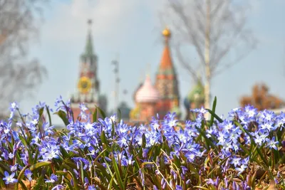 Международный фестиваль «Весна в России». Москва. 26 октября 2021 |  «Музыкальная карта»