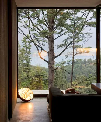 Фотообои на стену Вид из окна - Леса Поля Горы Окно