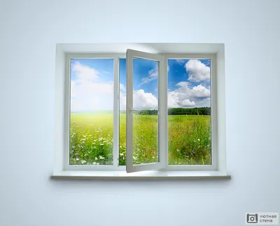 Окно в сад (34 фото) - красивые картинки и HD фото