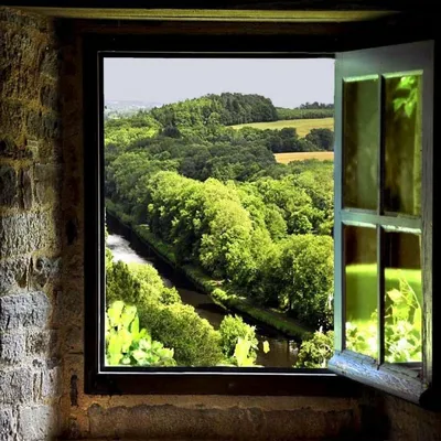 Вид из окна на природу в деревне…» — создано в Шедевруме