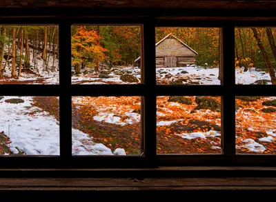 Вид из окна на природу - 71 фото