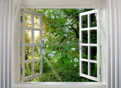 фотообои Вид из окна на природу 2400733012 купить по лучшей цене -  100metrov.com.ua