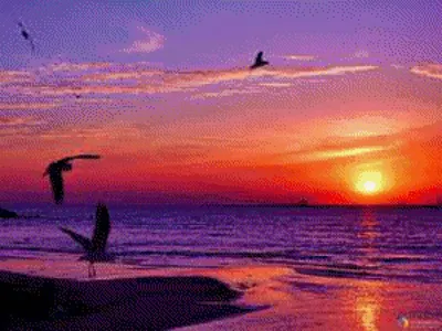 Картина на полотне Красивый восход солнца над морем № s35166 в  ART-holst.com.ua