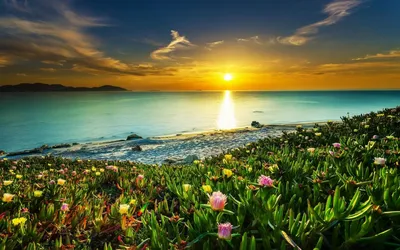 Фотообои Закат солнца над морем на стену. Купить фотообои Закат солнца над  морем в интернет-магазине WallArt