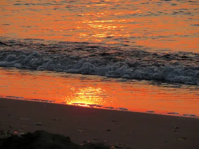 большое солнце над морем восход солнца погода красная весна Фото Фон И  картинка для бесплатной загрузки - Pngtree