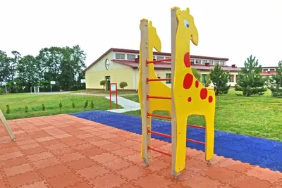 Фигурка животного Детское Время Жираф самец купить по цене 568 ₽ в  интернет-магазине Детский мир