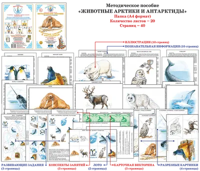 Карточки в папке – Животные Арктики и Антарктиды, 16 обучающих карточек от  Умка, 4690590146484 - купить в интернет-магазине ToyWay.Ru