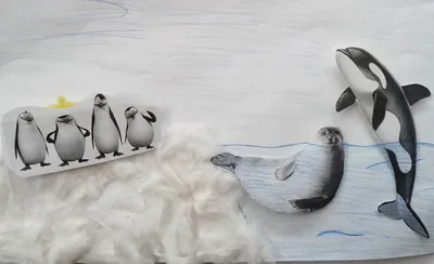В Антарктиде могут появиться новые животные | Station.ru
