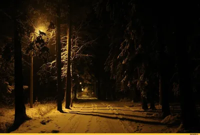 Картинки зимы ночью обои