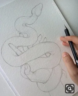 Картинки змеи рисунки обои