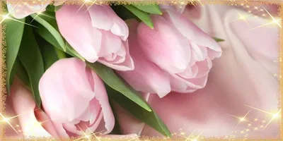 Открытка с именем Катя C 8 МАРТА розы на 8 марта. Открытки на каждый день с  именами и пожеланиями.
