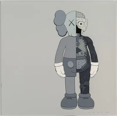Kaws - The Definitive Study from Phaidon - Paperback - SFMOMA Museum Store