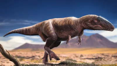 Классификация динозавров в картинках обои