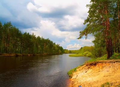 Интересные факты из мира природы: Природа Рязанского края — Детский  эколого-биологический центр