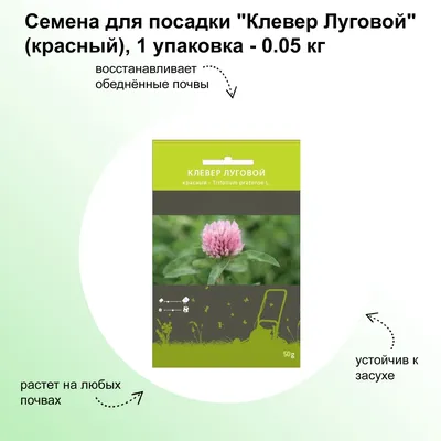 Семена сидерата «Клевер луговой красный» 1 кг по цене 345 ₽/шт. купить в  Владивостоке в интернет-магазине Леруа Мерлен