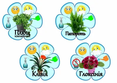 Комнатные цветы: фото и названия роскошных растений, которые могут  поселиться дома